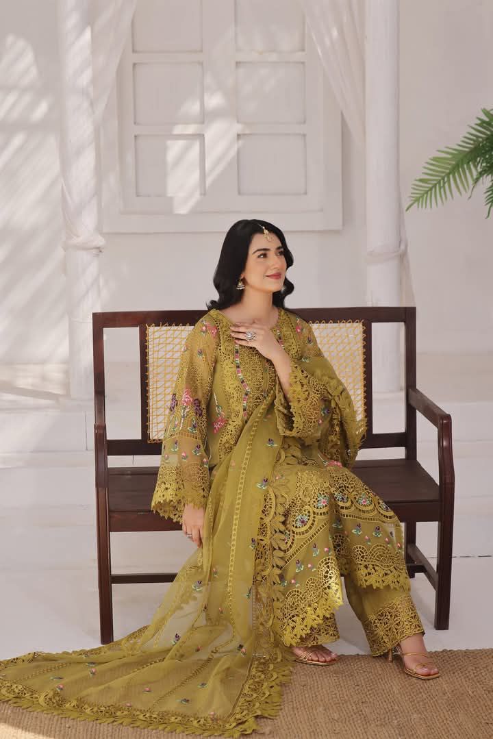 Iznik Lawn & Chiffon duppatta